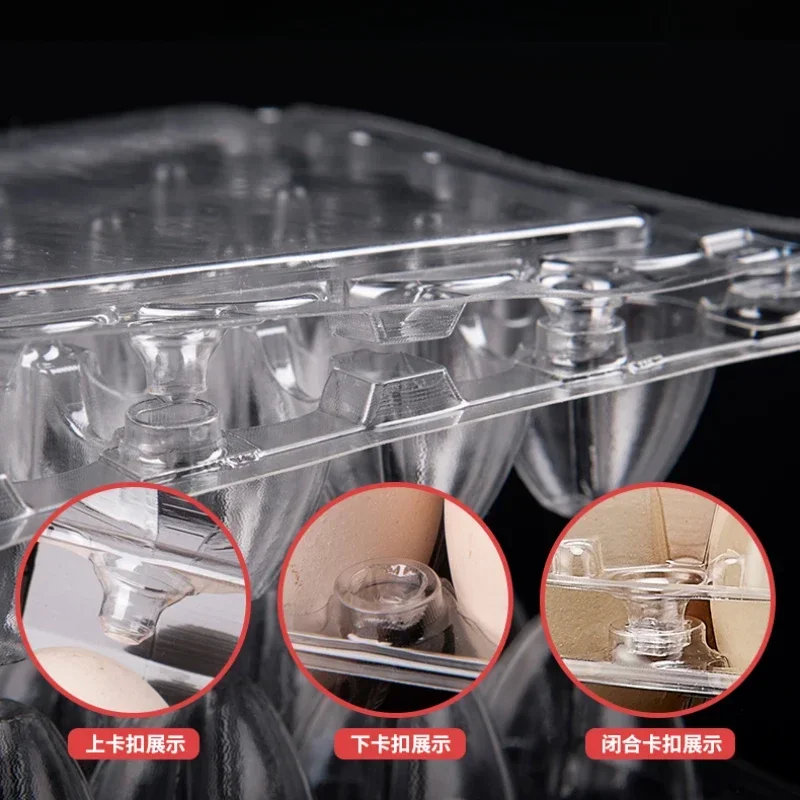 20 個使い捨てプラスチック卵箱透明厚い耐落下圧卵トレイ中型 - Event Party Box のレビューと価格